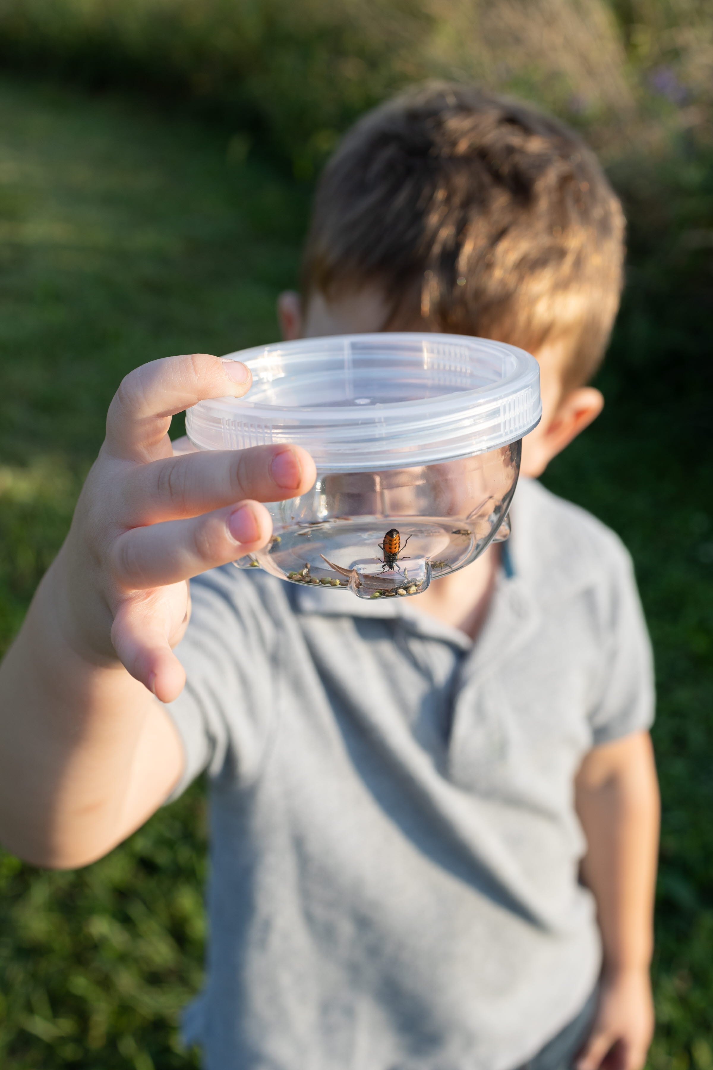 Young boy looking at insect in container 