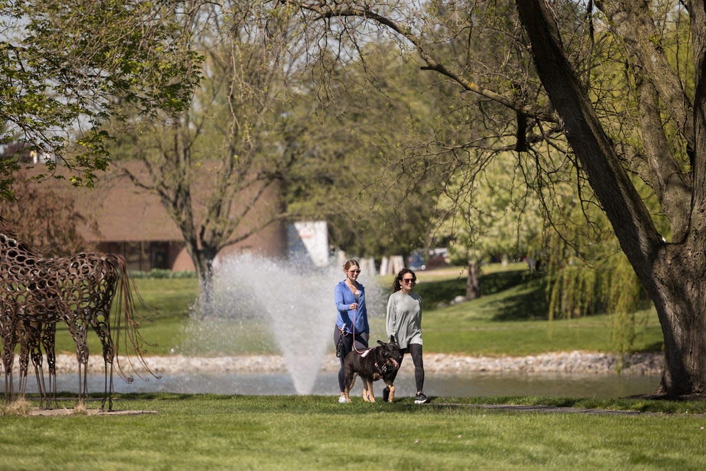 Two women walking dog in park